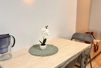 Ap o camera IMPECABIL,zona Copou USV,bloc nou,utilat,smart home,lift - 11