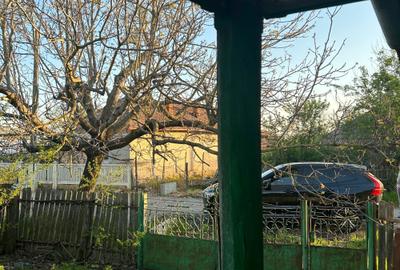 Teren de 2000 mp, în Dumitrești - 4