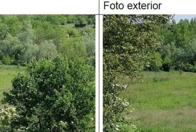 Teren intravilan cota parte 1/4 Tarpesti, ID: R2327012 - 7