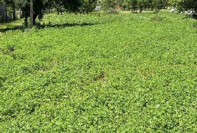 Spațiu comercial, în Letea - 2