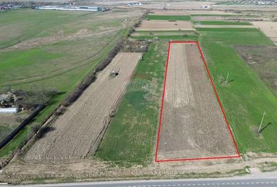 Teren agricol intravilan de 9431 mp, în Bizighești - 1
