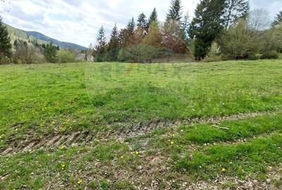 Teren agricol extravilan de 2800 mp, în Central - 8