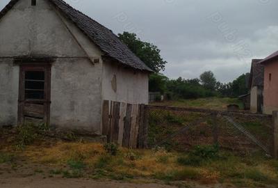Casă cu 2 camere cu Teren 1600 Mp în Tăut - 3