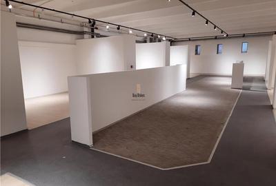 Spatii Comerciale - 500 mp - Showroom - Comert - 18