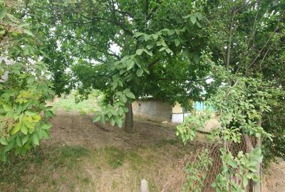 Teren Construcții intravilan de 1100 mp, în Podu Ilfovățului - 9