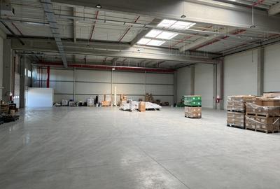 Hala moderna / Productie / Depozitare - 3