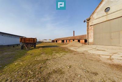 Teren ?i hale pe Calea Aradului din Periam - 8