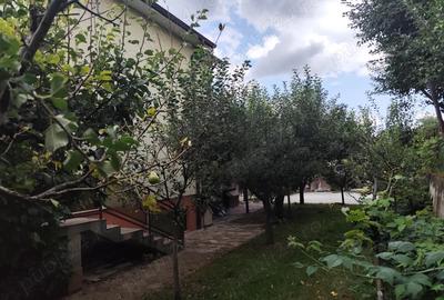 Zona deosebita, oportunitate de investi?ie casa individuala in Gruia - 4