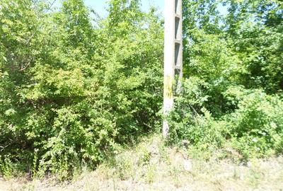 Teren de 7410 mp, în Boldești