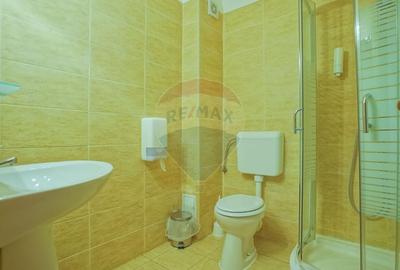 Hotel/Pensiune, de 2,950 mp, în Pănicel - 48