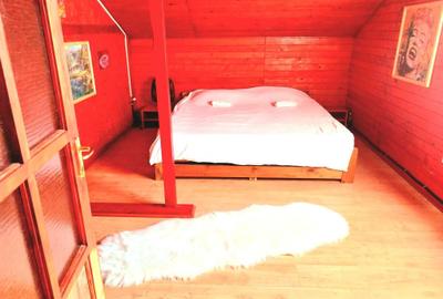 Casă cu 4 camere semidecomandat în Iedera - 6