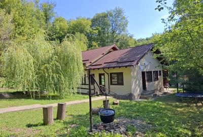 Casă cu 6 camere cu Teren 2267 Mp în Iedera de Sus - 9