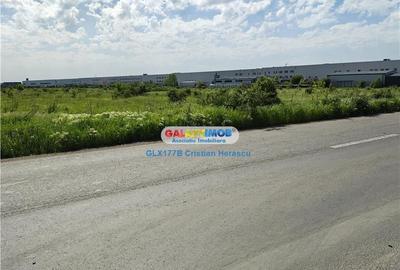 Teren Industrial 3 HECTARE Str Rudeni cu deschidere 50 ML - 3