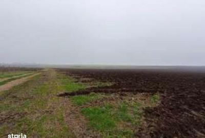 Teren de 15000 mp, în Limanu - 2