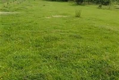 Casa cu teren 2741 MP la doar 6 km de Bod in Araci - 3