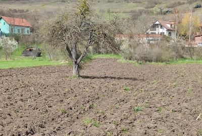 Casa pentru vanzare cu 2 394 mp. teren aferent, in comuna Savadisla,sat Vlaha,nr.378,jud.Cluj - 2
