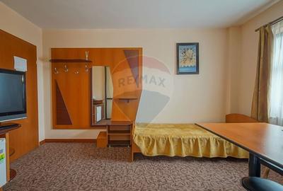 Comision 0 %! Pensiune cu 12 camere de vanzare, str. De Mijloc! - 28