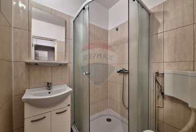 Apartament cu 3 camere de inchiriat in zona Sub Arini - 6