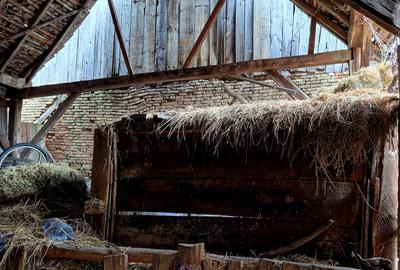 Casă individuală cu 2 camere cu Canalizare în Bunești - 12