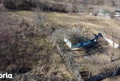 Casă cu 2 camere cu Teren 2602 Mp în Dumești - 10