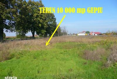 Teren de 10000 mp, în Gepiu - 10