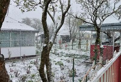 Vand casa sat Dorobanti - 1