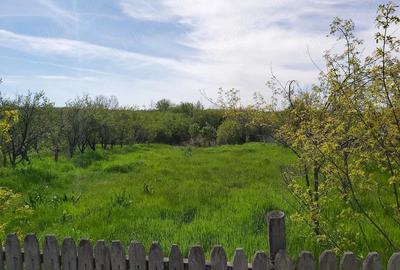 Teren de 2474 mp, în Săpata - 3