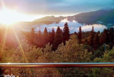 Casă cu Teren 500 Mp în Cioplea - 3