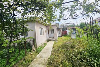 Casă cu 2 camere și teren generos, Dărmănești – Exclusivitate - 4
