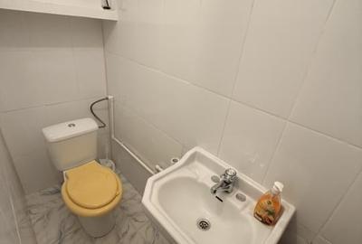 Apartament cu 3 camere decomandat, mobilat în Rahova - 10