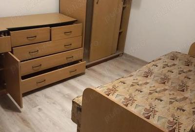 Apartament cu 2 camere semidecomandat în Banat - 8