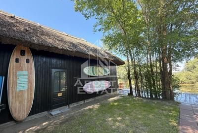 Casă individuală cu 6 camere cu Canalizare în Crișan - 12