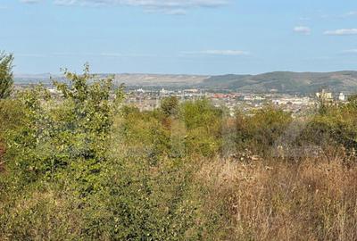 Teren de 510 mp, în Cetate - 2