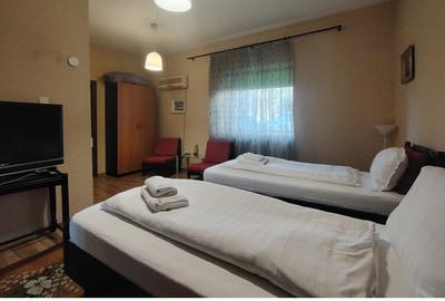 Casa centru Copou, Pacurari, zona Negruzzi, mobilat si utilata - 5