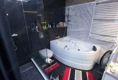 De vanzare 349900 euro casa cu 2 apart. in centru istoric Timisoara - 4