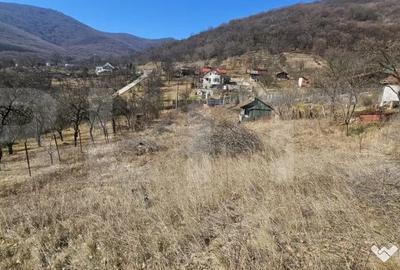 Teren de 1550 mp, în Cetate - 3