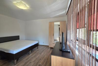Apartament cu 2 camere decomandat, mobilat în Manolache - 5