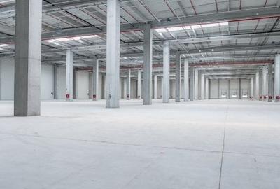 Spațiu industrial, 249500 mp în Chitila