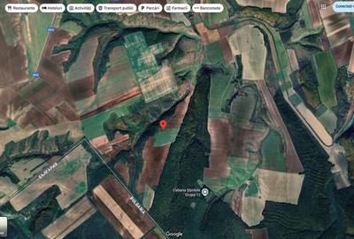 Teren de 18800 mp, în Deleni - 10