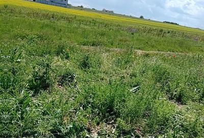 Teren de 1000 mp, în Exterior Vest - 5