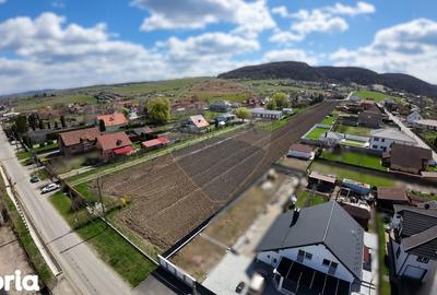 Teren de 10262 mp, în Albești - 1