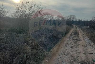 Teren de 1603 mp, în Cârcea