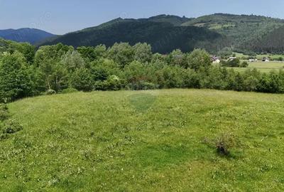 Comision 0% | Teren intravilan cu izvor | 2,730mp | Zarne?ti | - 9