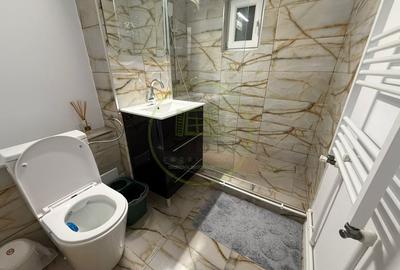 Apartament cu 2 camere semidecomandat, mobilat în Craiovița Nouă - 9