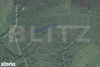 Teren de 2697 mp, în Ardud - 1