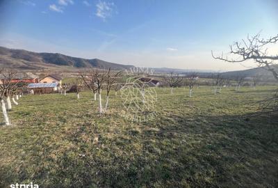 Teren de 3100 mp, în Nimigea - 6