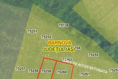 Spațiu comercial, în Bârnova - 6