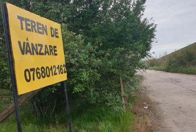 Teren de 1000 mp, în Ișalnița - 2