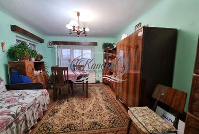 Casa cu potential in Gruia - 4