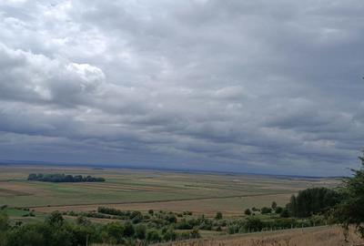 Casă cu 6 camere în Băneasa - 8